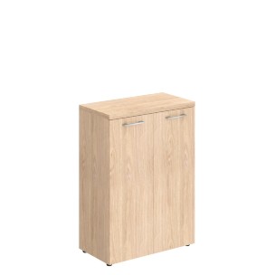 Шкаф с глухими средними дверьми и топом TMC 85.1 856х450х1203 TORR-Z